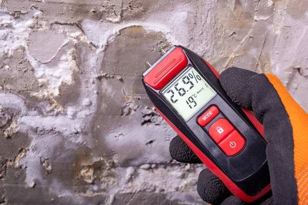 Best Residential Mold Removal  in Prospect Rk, PA